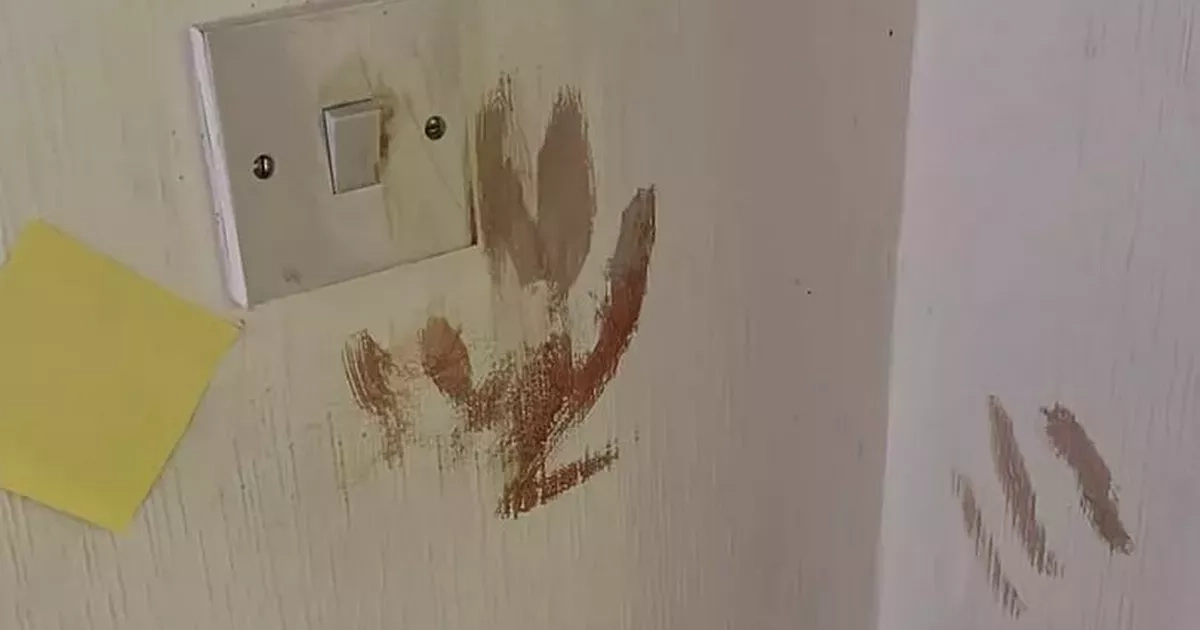 Cruel thief leaves horrible scene at Scots charity with toys 'covered in blood'