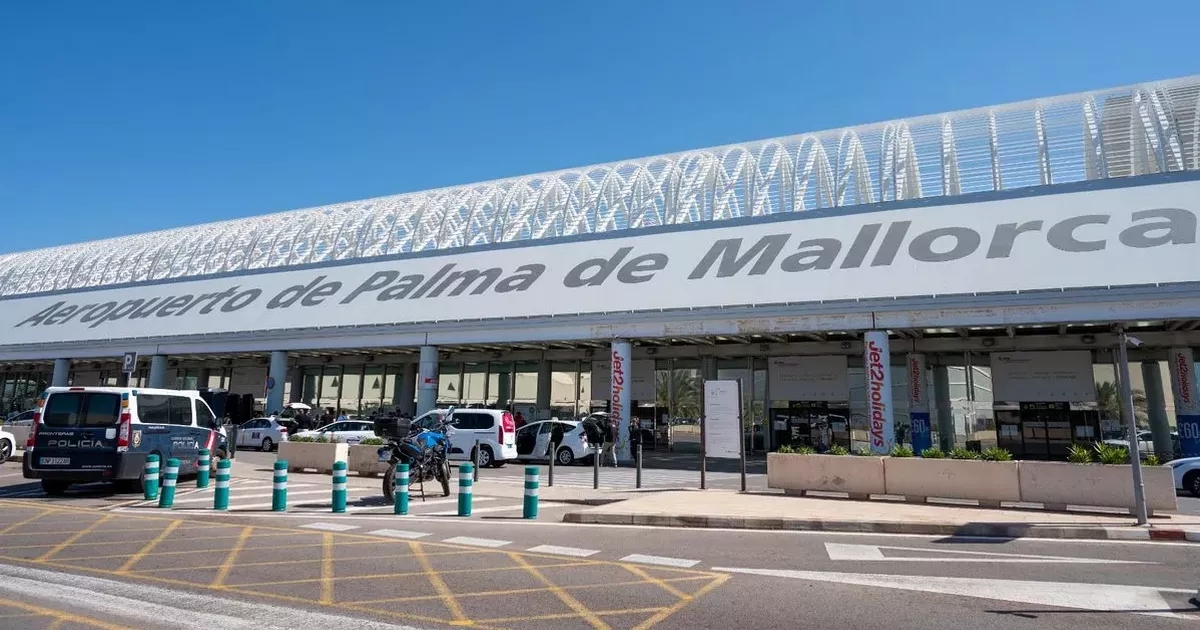 Palma de Mallorca airport horror as man stabbed in neck 'for no reason'