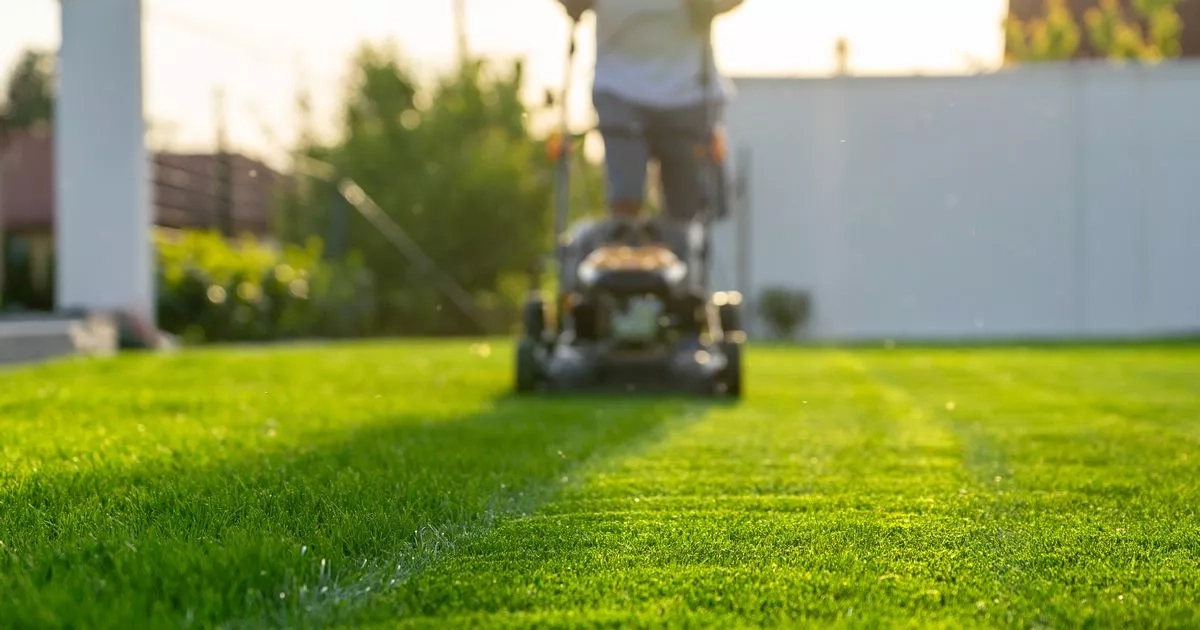Householders warned over £5,000 fine for breaking 9am gardening rule