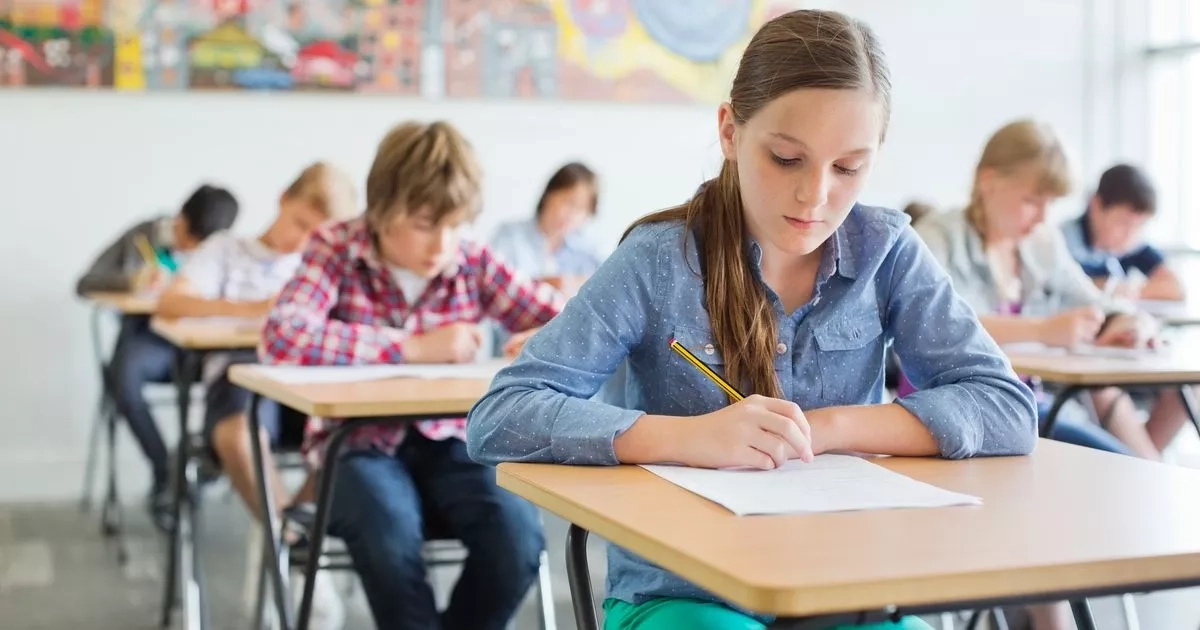 Can you ace this 15-question quiz meant for primary school children?