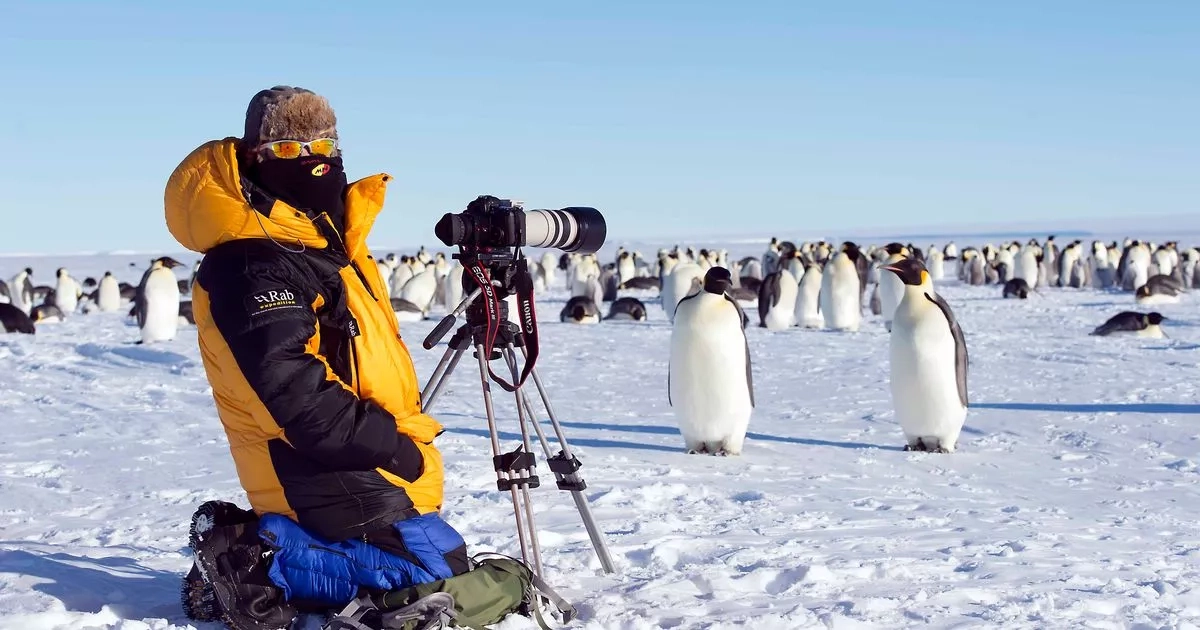 Sir David Attenborough's Scots cameraman backs groundbreaking 'ecocide' law