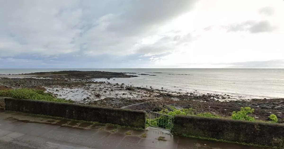 Body of man found on beach by dog walker found on beach