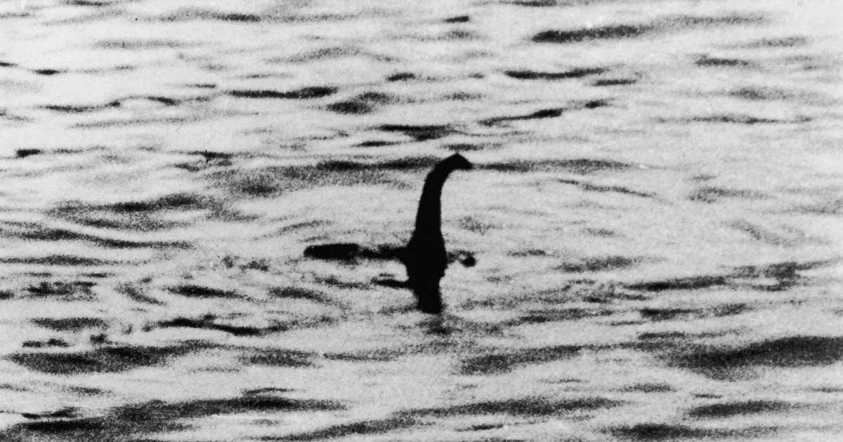 What should a person do if they find Loch Ness Monster?