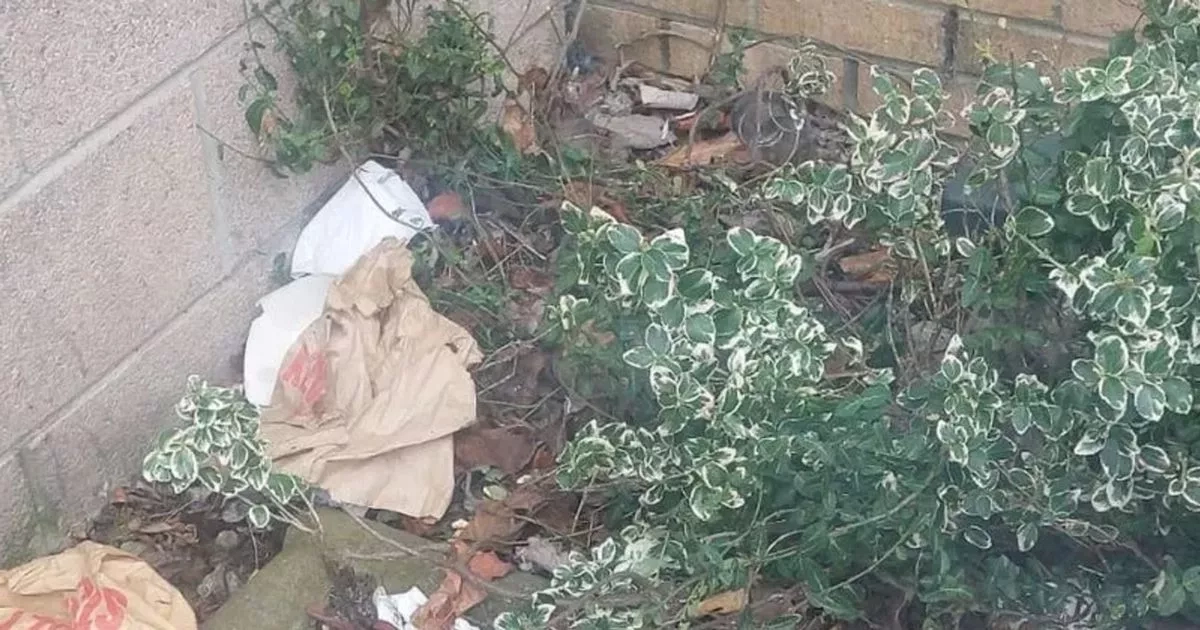 Wheelie bin lid locks could help tackle West Lothian litter problem