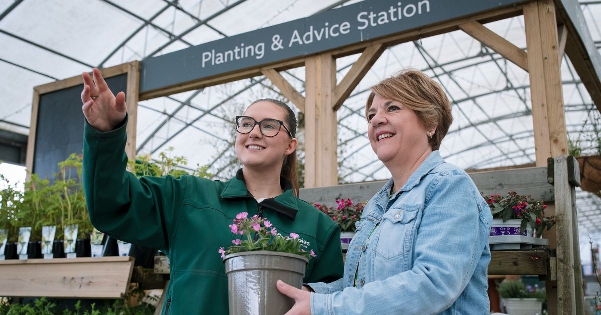 Garden centre hosting free Rose-themed Grow How workshop at Clyde Valley store