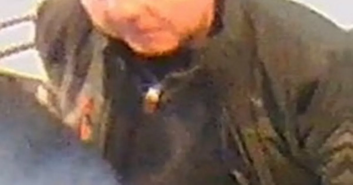 Picture released after assault onboard Scots train