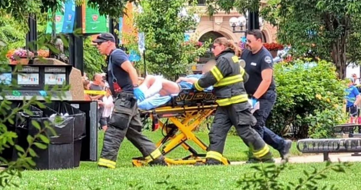 FBI called to Molotov cocktail terror attack on Israel demo - with seven injured so far