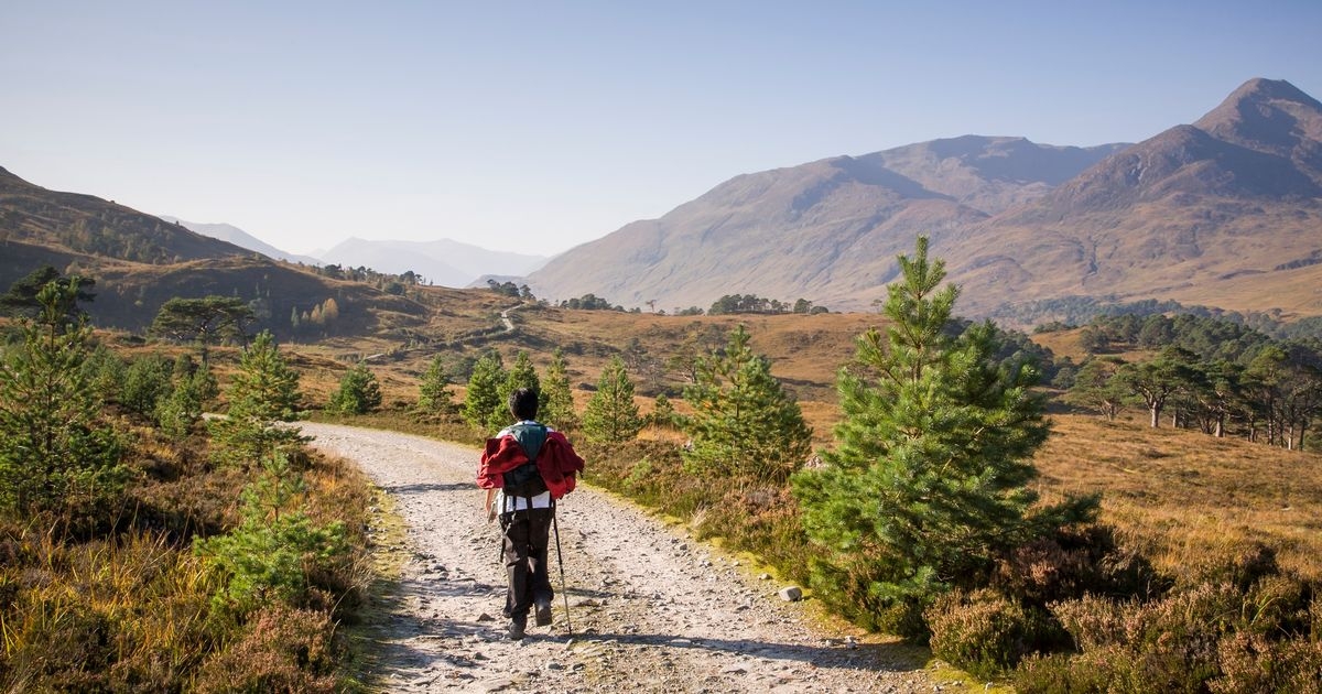 The 'best views in Scotland' from glens to rainforests according to Scots