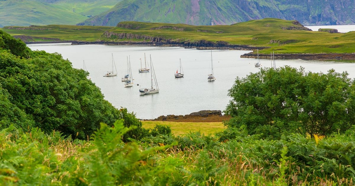 The tiny hidden gem Scottish island with 'stunning' seafood restaurant