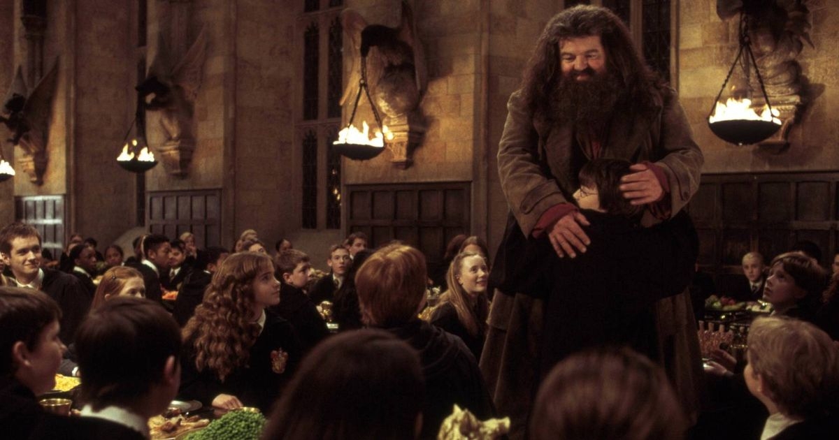 Nick Frost addresses taking over iconic role in controversial Harry Potter series