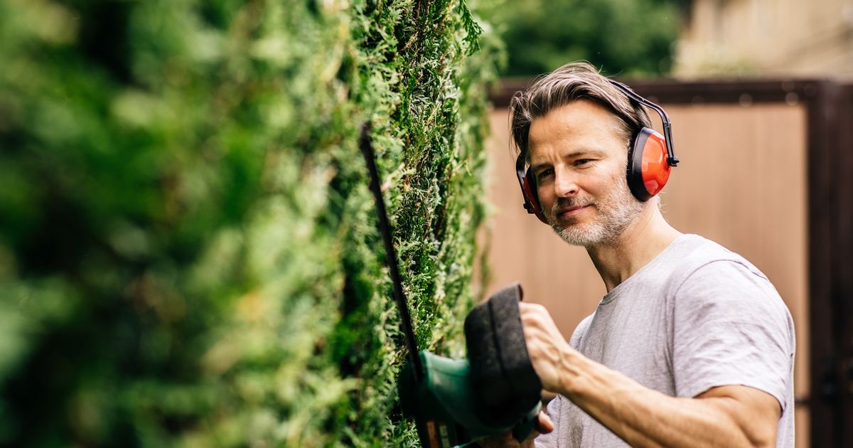 June warning to gardeners cutting their hedge this month