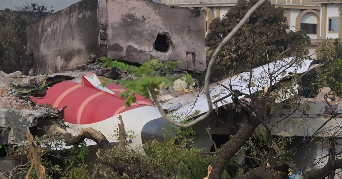 Air India co-pilot made simple mistake which 'led to horror crash', says expert