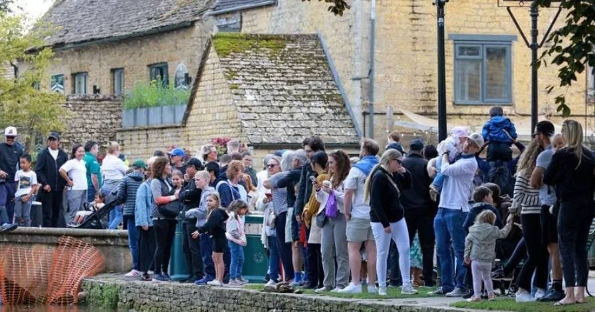 Family shocked by behaviour leave country village after 30 minutes