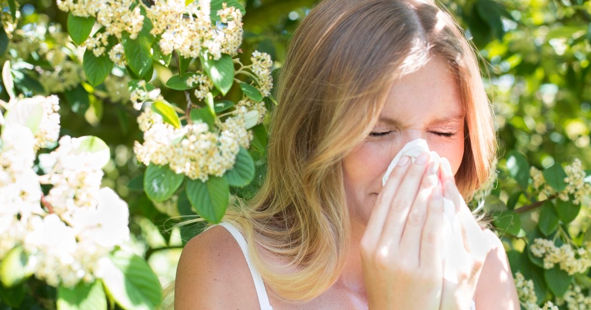 How to tell if you have hay fever or Covid as Nimbus strain shows key sign
