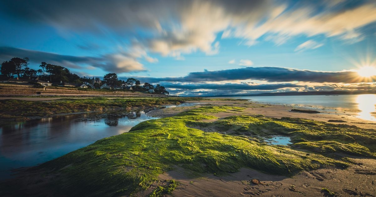 Scots beach famed for dolphin spotting named one of UK's best seaside spots for parking