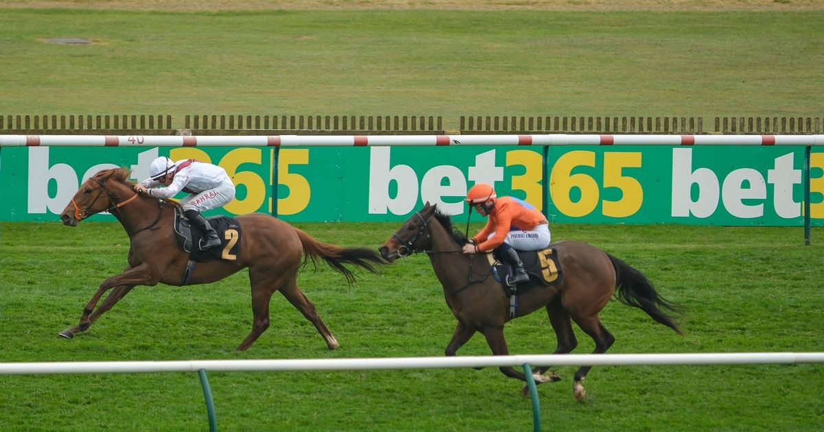 Young horse dies during Royal Ascot as TV presenter reveals heartbreaking news during live coverage