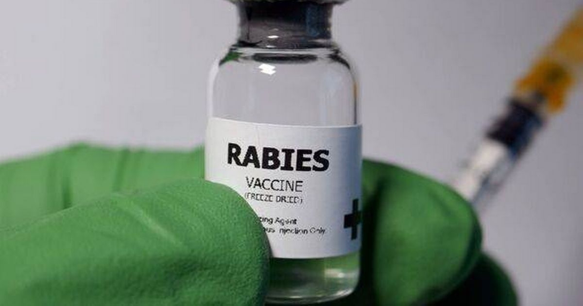 Rabies hotspots map reveals where you're most likely to be struck down with deadly disease