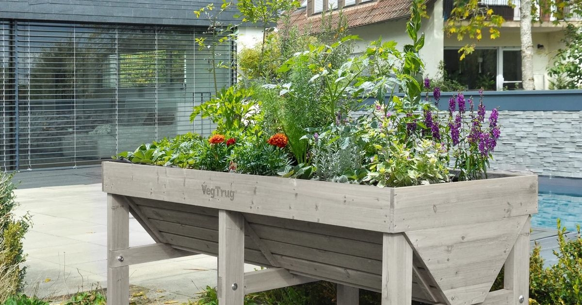 Raised wooden planter at 'just the right height to avoid back pain' gets £40 price slash
