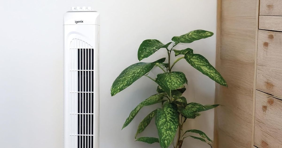 This 'quiet' tower fan under £30 is 'the perfect antidote to the heatwave'
