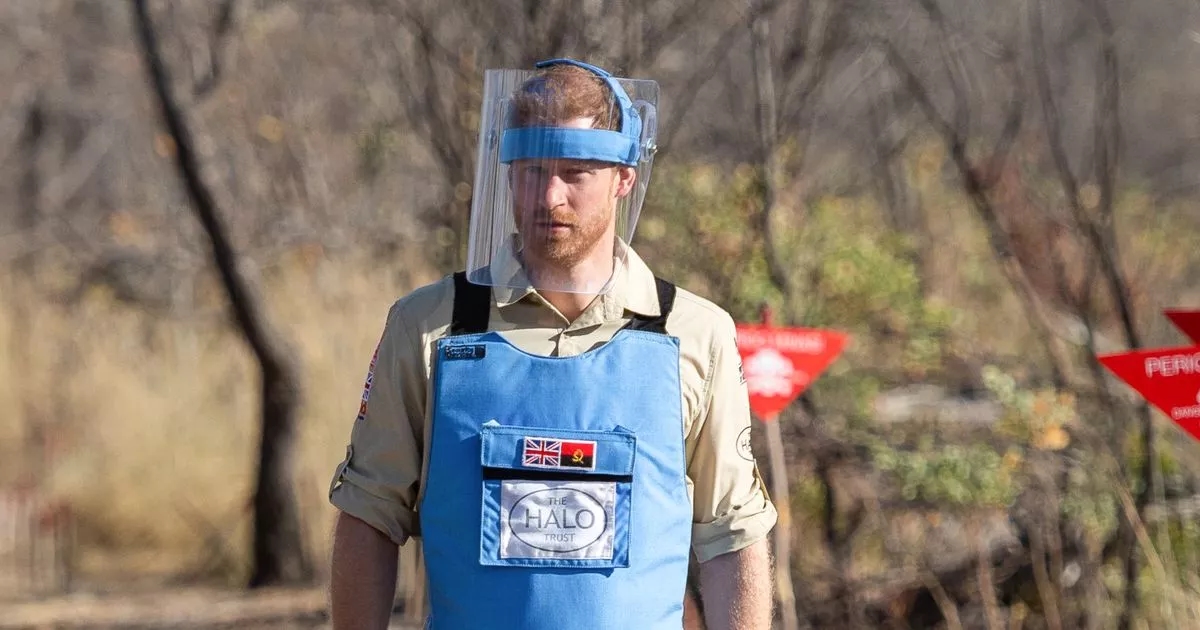 Prince Harry says 'it breaks my heart' after solo journey without Meghan