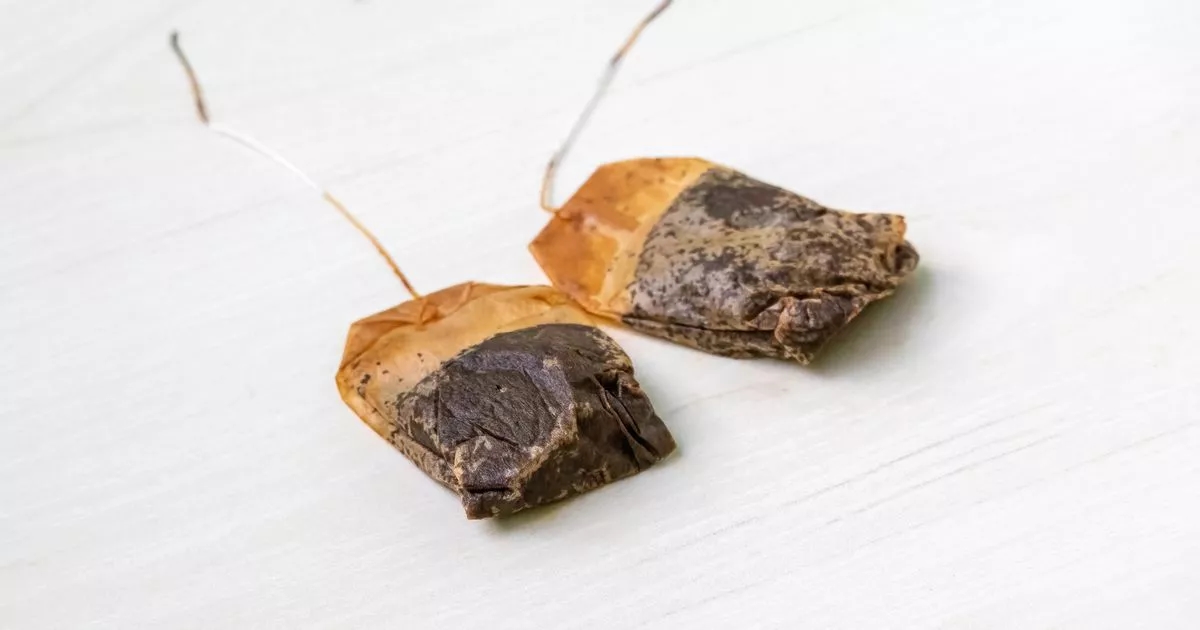 Householders urged to put ripped up teabags in garden this summer