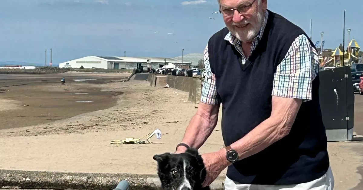 Scots dog lovers swiping right on 'dating-style' app to 'borrow' a puppy