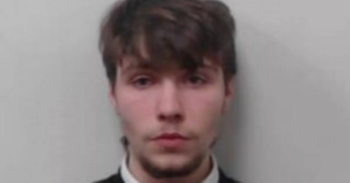 Teen rapist jailed for seven years after after horrific campaign of abuse