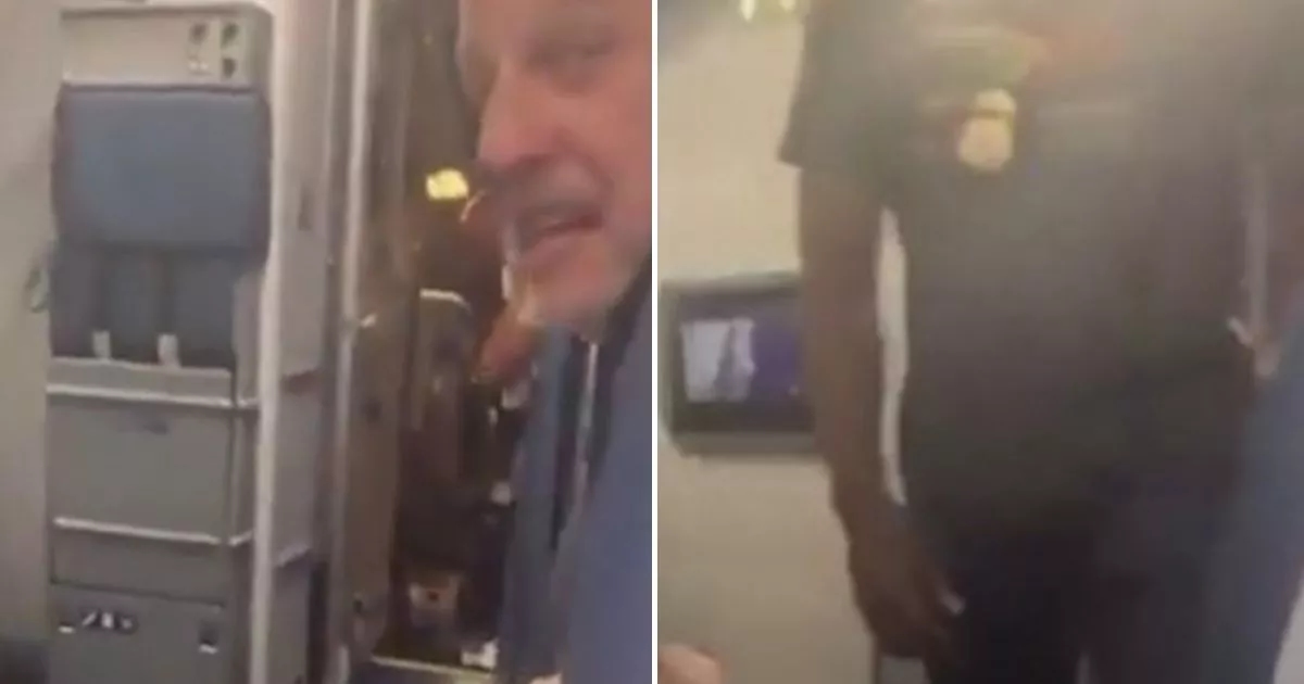 Moment pilot arrested as police storm plane full of shocked passengers