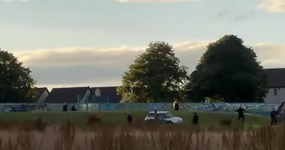 Cops continue hunt for machete thugs in brawl that left XL Bully dead