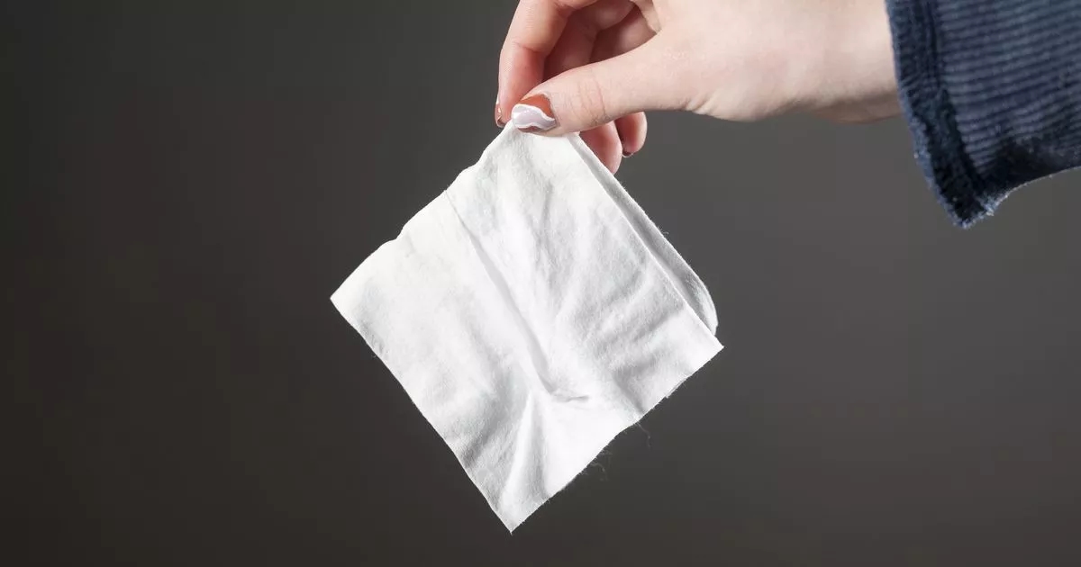 Brits told to bin three brands of wet wipes now in urgent bacteria warning