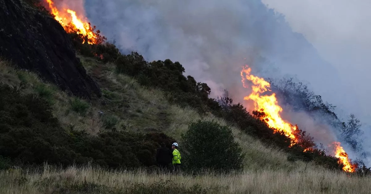 'Very high' wildfire warning issued by fire chiefs as sizzling heatwave continues