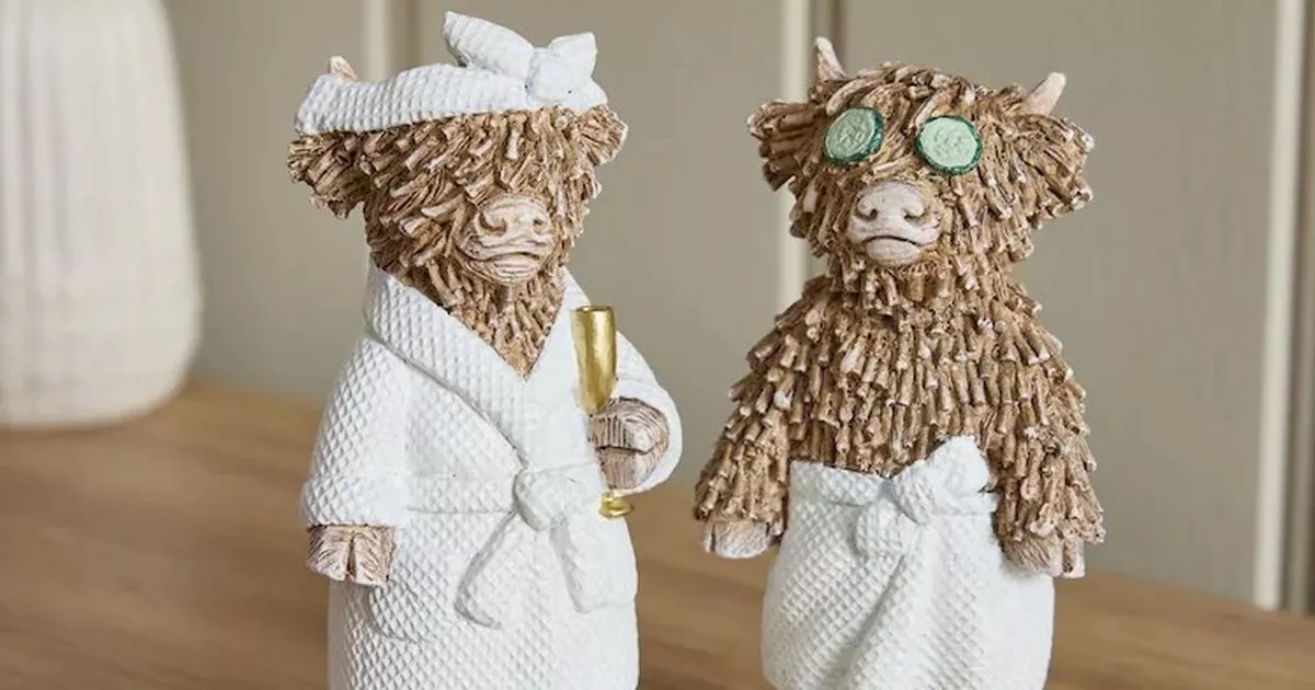 Next shoppers gush over 'cute' £12 ornament that 'completes their bathroom'