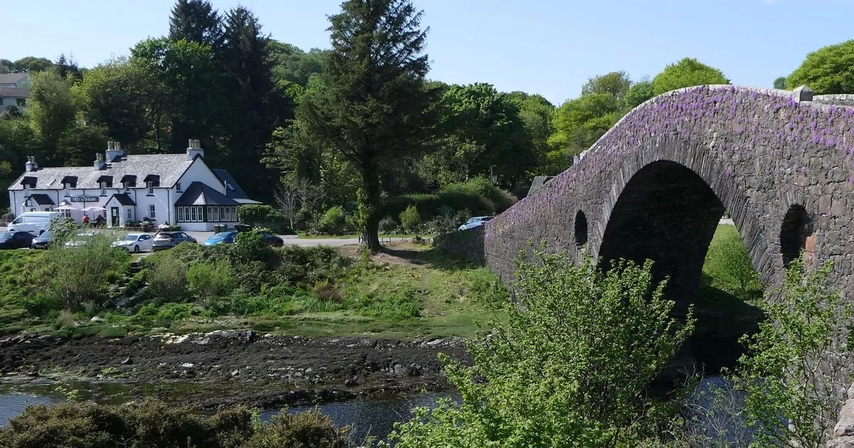 Stunning photos show Scots 'Bridge over the Atlantic' covered in rare flowers