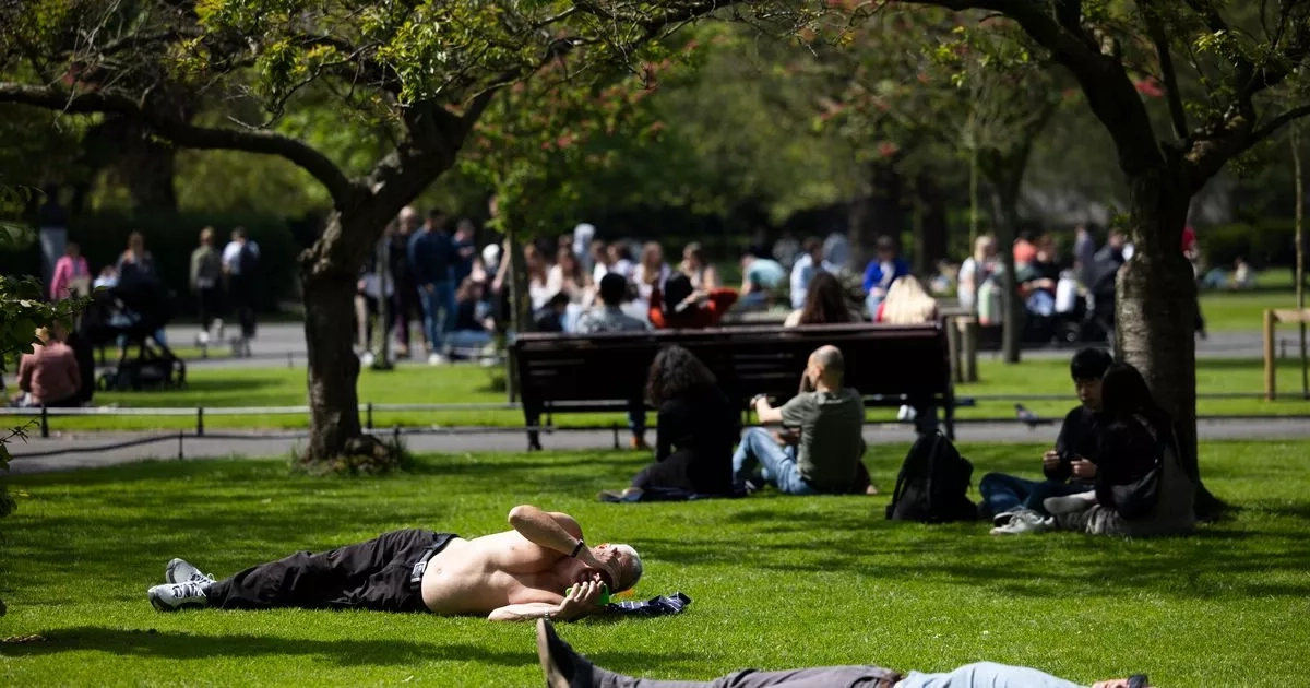 Ireland weather: Heatwave concerns result in calls for paid days off and workplace shutdowns