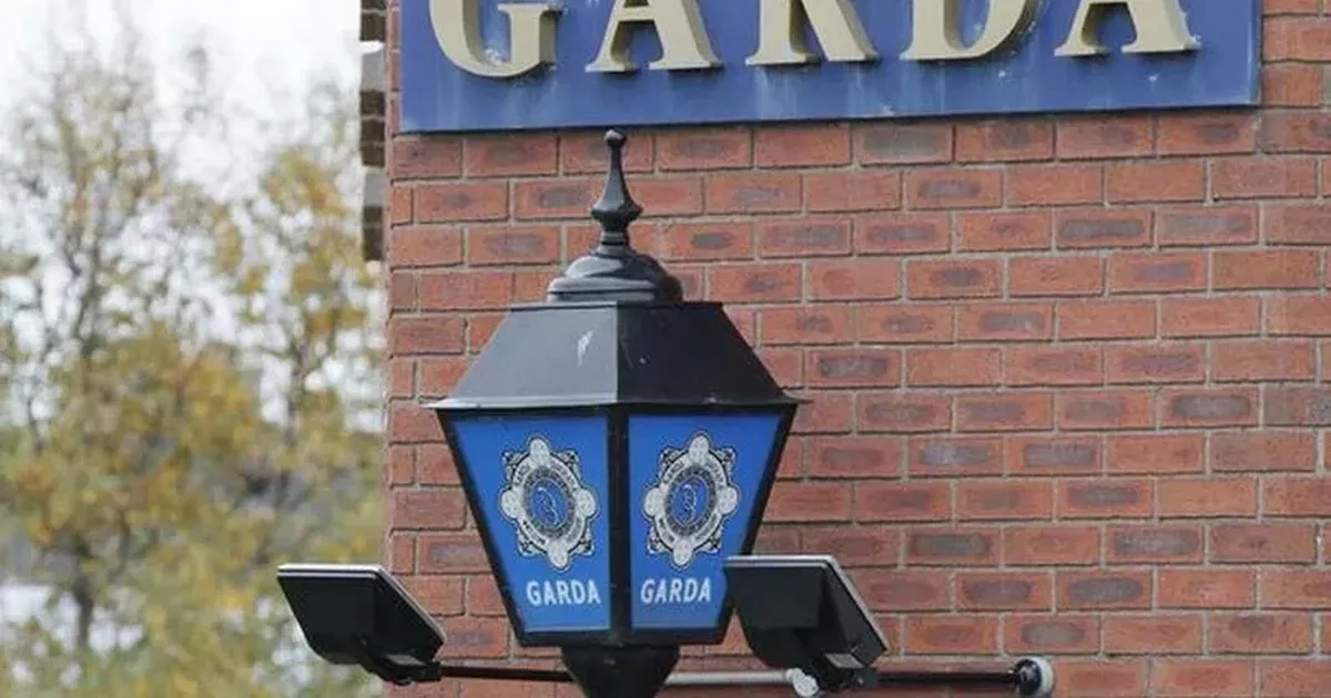 Man brandishing knife at Dublin petrol station threatens staff and steals cash