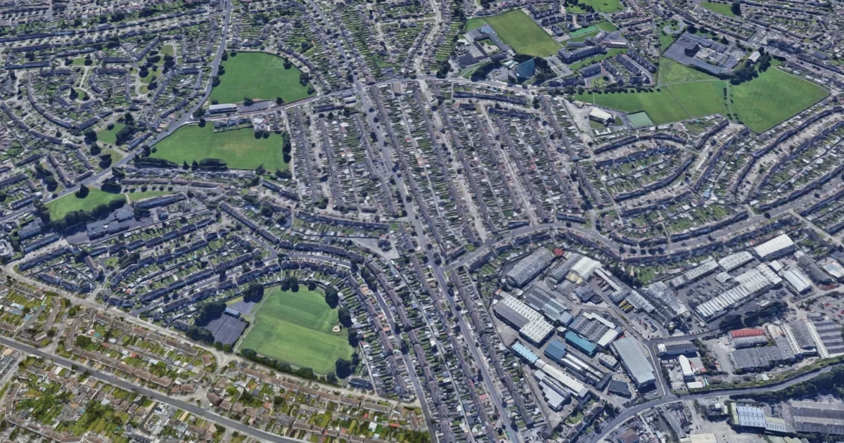 Woman hit by driver who broke south Dublin red light says life is 'sad and lonely'