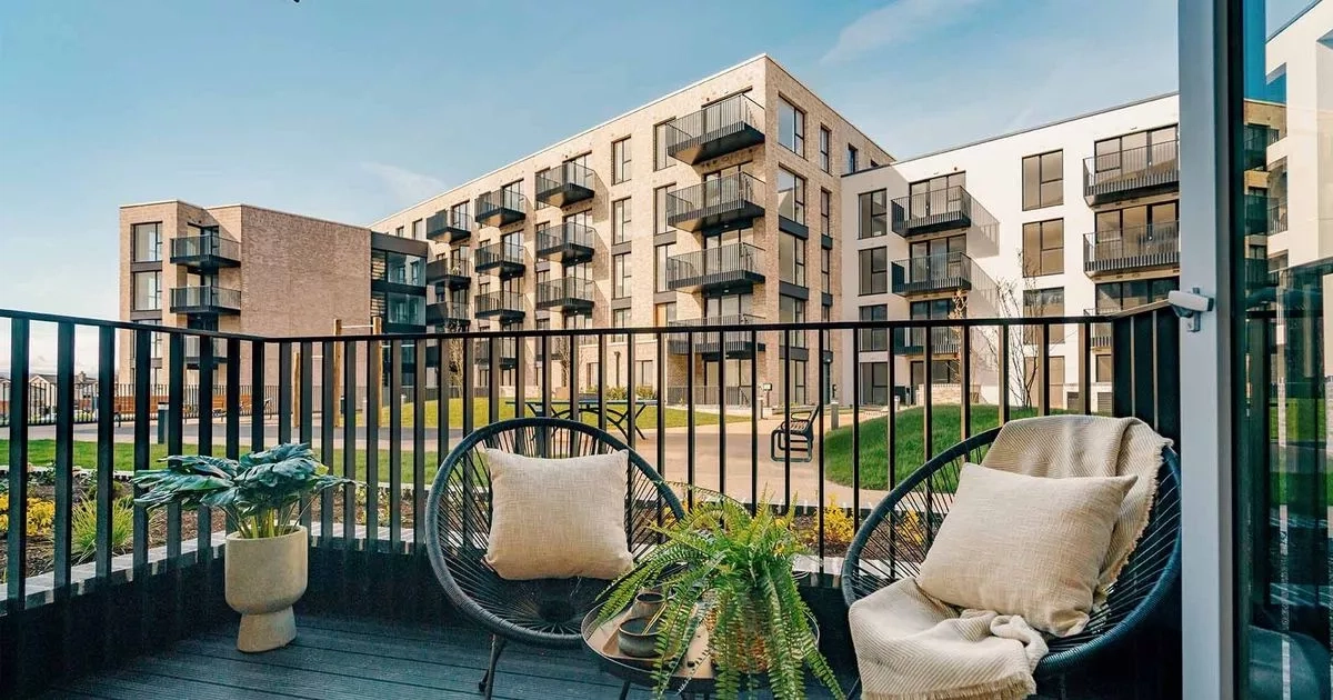Housing crisis 'gotten away from government' as 2,000 apply for 20 cost rental homes