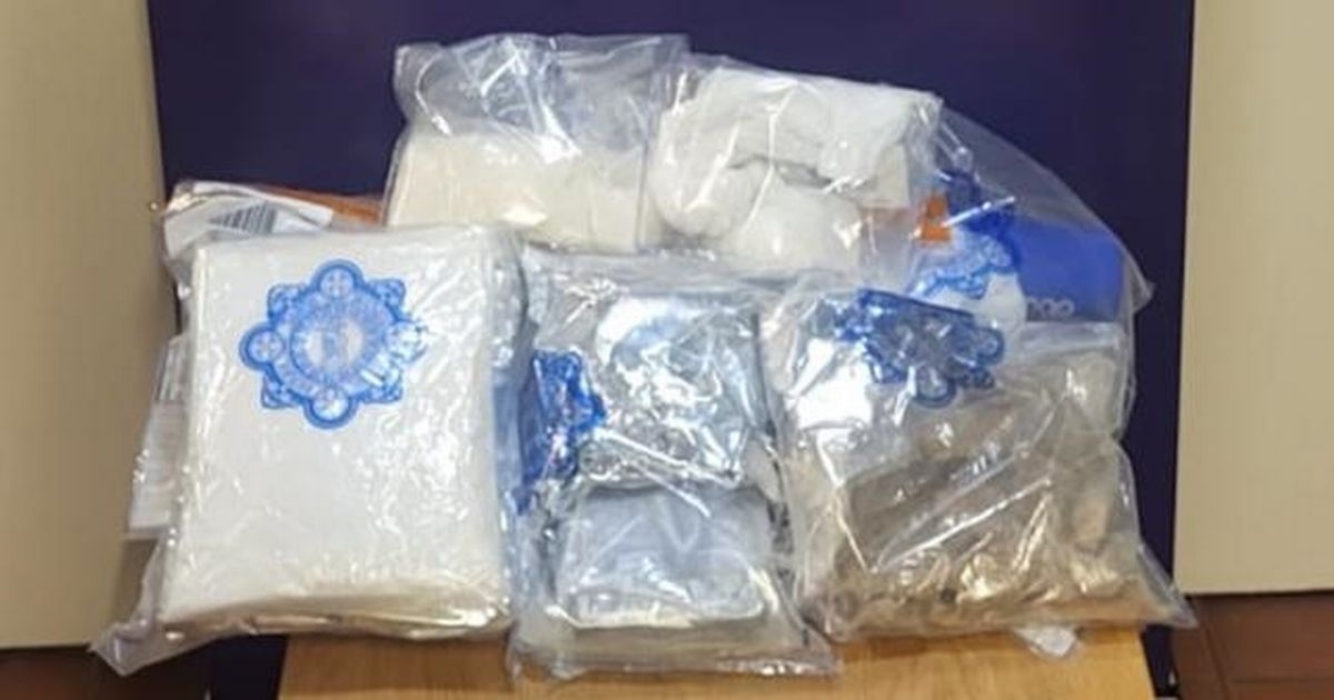 Dublin raids see one arrested and drugs seized as gardai target organised crime gang