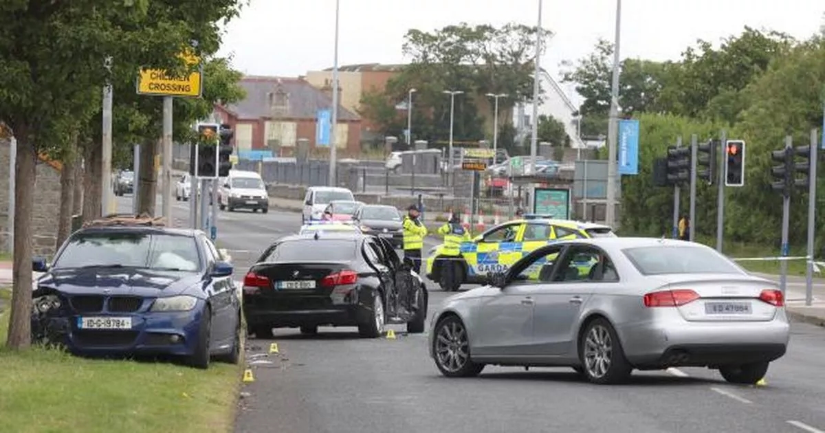 Gardai on high alert for retaliation attacks after man killed in hit-and-run