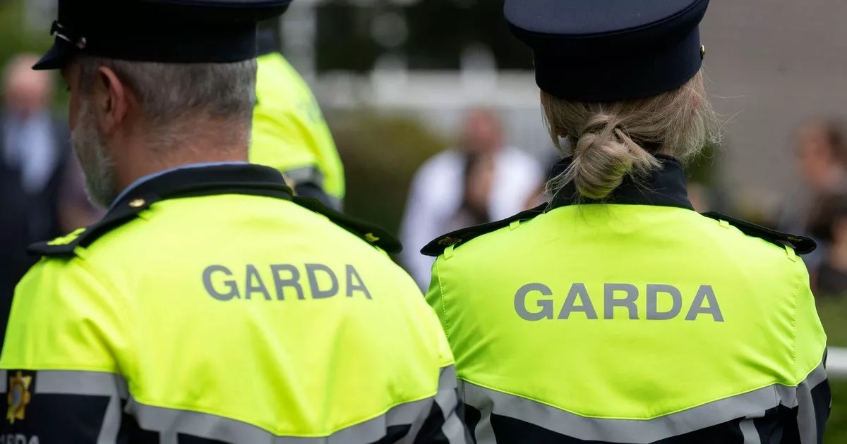 Garda hospitalised after being struck by e-bike in Dublin hit-and-run