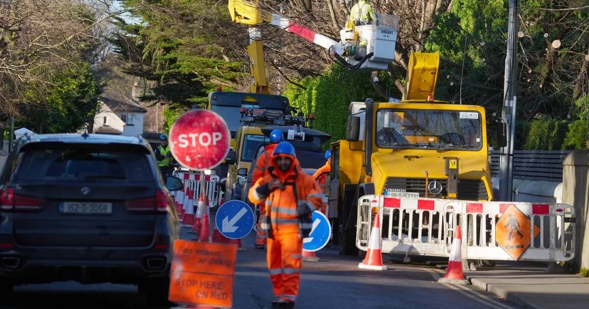 Over €11million paid in compensation over Storm Eowyn damage