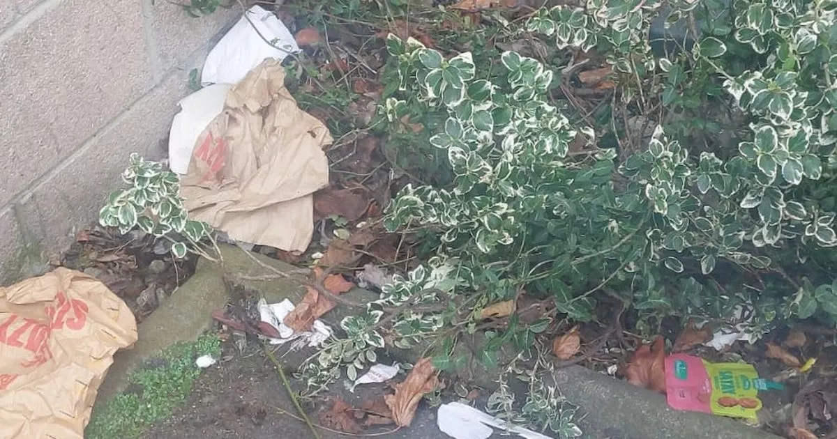 Wheelie bin lid locks in could crack down on West Lothian litter