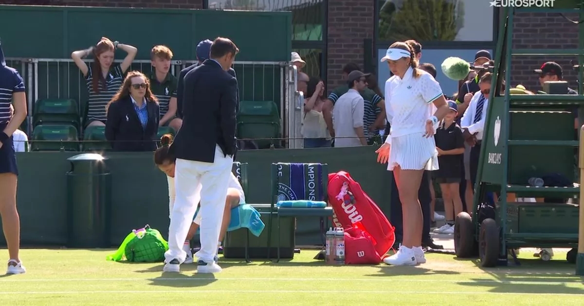 Wimbledon tennis star lifts up skirt during 'intense' clash with umpire