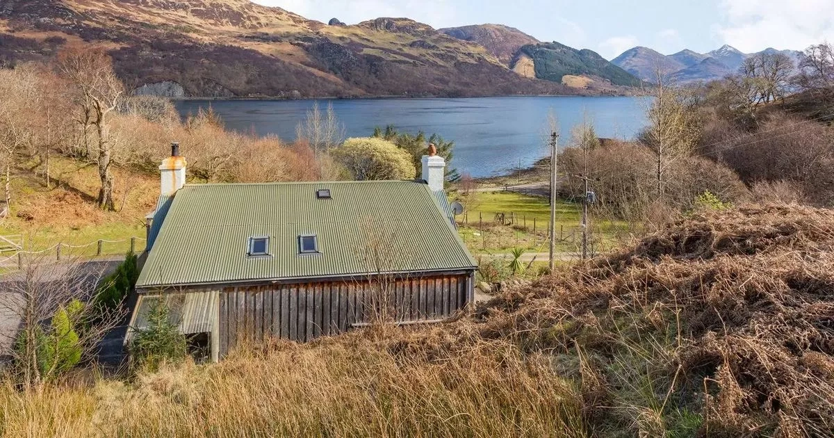 'Cosy' holiday home with 'breathtaking' view in wildlife hotspot is 'pure bliss'
