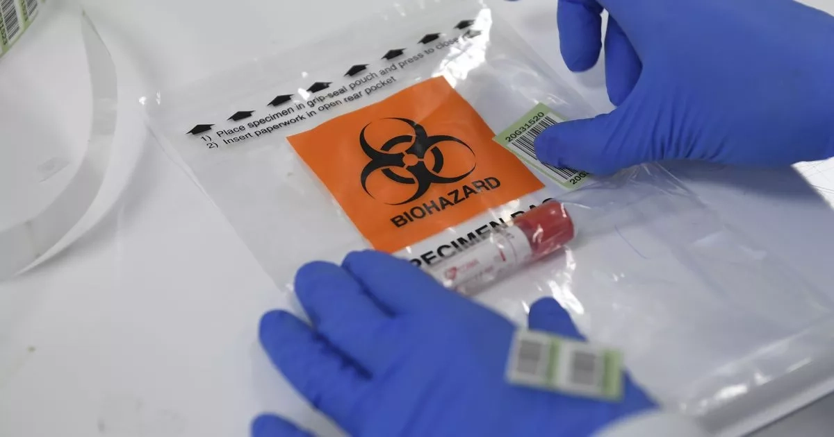 Man who predicted Covid-19 says source of next pandemic could be already here