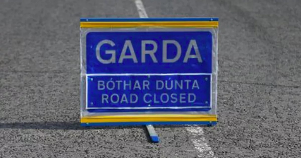 Probe claims some gardai policing roads are 'demotivated and unconcerned'