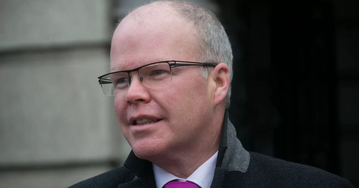 Dáil told consultants 'funnelling' public hospital patients onto private lists