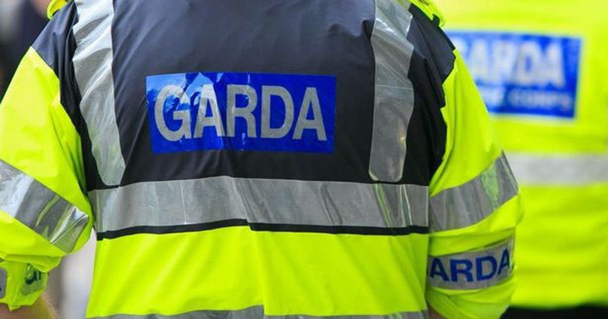 Large handbag woman causes havoc in town centre as gardai attend scene