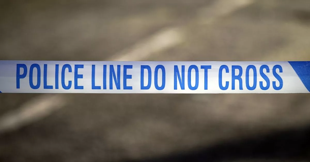 Woman attacked by four dogs at her home as armed police rush to the scene
