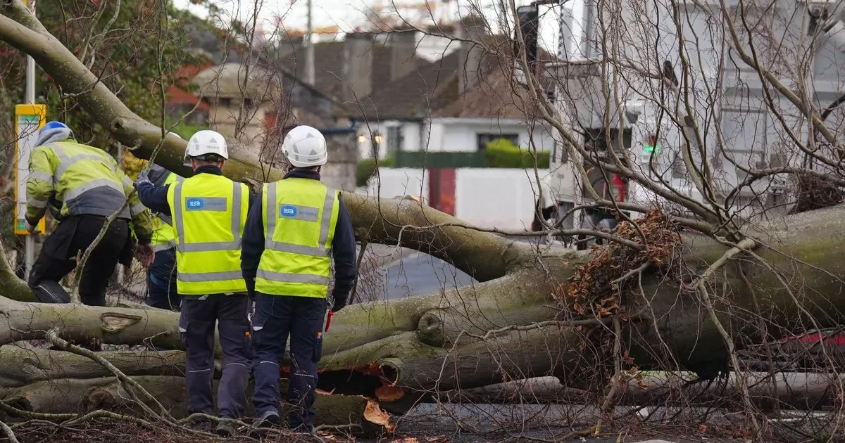 Over €11m in Storm Éowyn compensation paid as more than 90,000 claims lodged